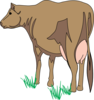 Brown Cow Rear View Clip Art